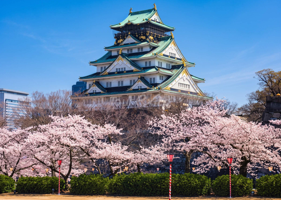 corea-japon (3)